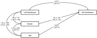 Revisiting the Link between Job Satisfaction and Life Satisfaction: The Role of Basic Psychological Needs